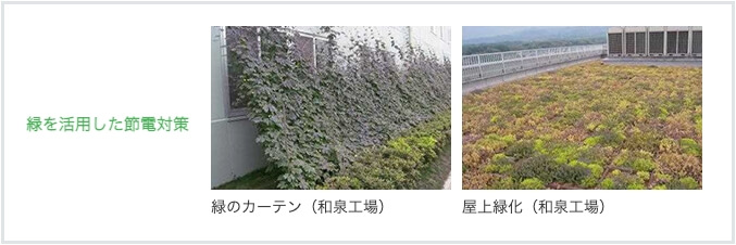 緑を活用した節電対策 緑のカーテン(和泉工場) 屋上緑化(和泉工場)