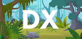 DX BLOG